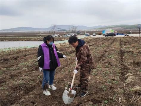 黑龙江宝清县夹信子镇团委组织青年五四植树生态过节