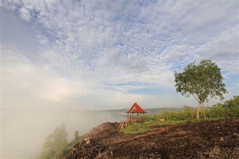 Gunung Ireng Foto Lokasi Rute Harga Tiket Fasilitas