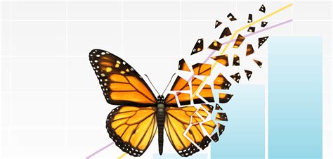 Mastering Portfolio Protection The Broken Wing Butterfly Strategy