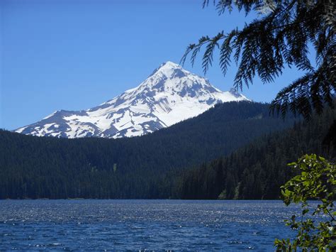 Trending | Imagesocket