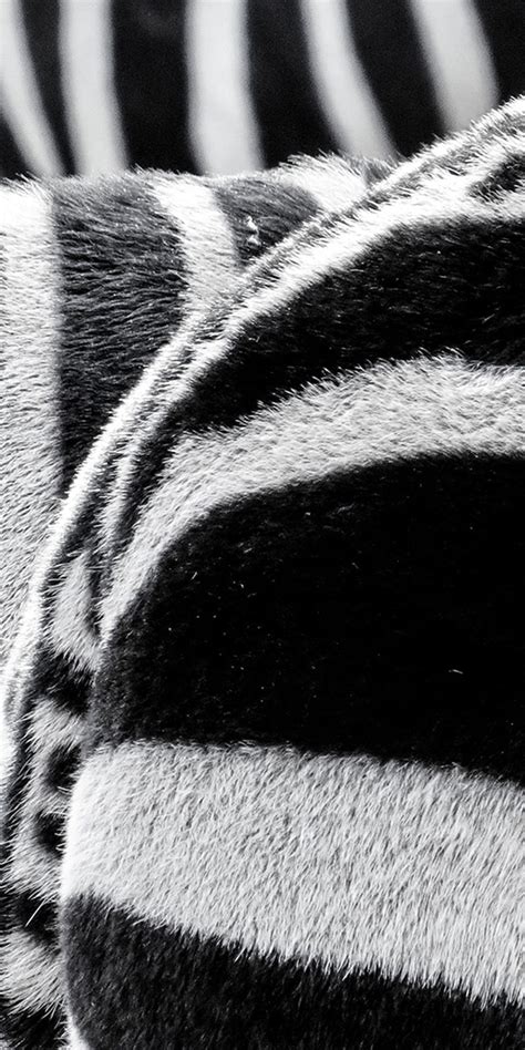 Careers at Twycross Zoo