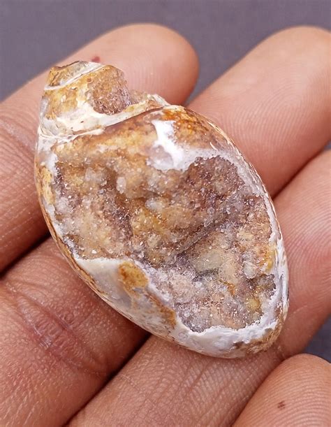 Amazing Quality 100 Natural Fossil Druzy Agate Snail Druzy Fossil