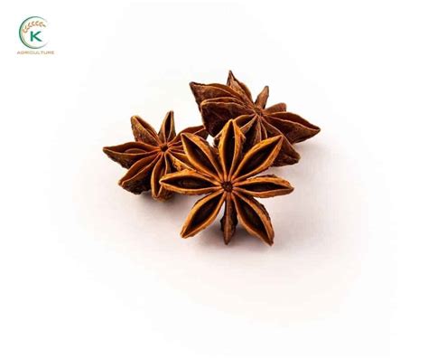 How To Use Star Anise In Cooking 5 Easy Tasty Star Anise Recipes K