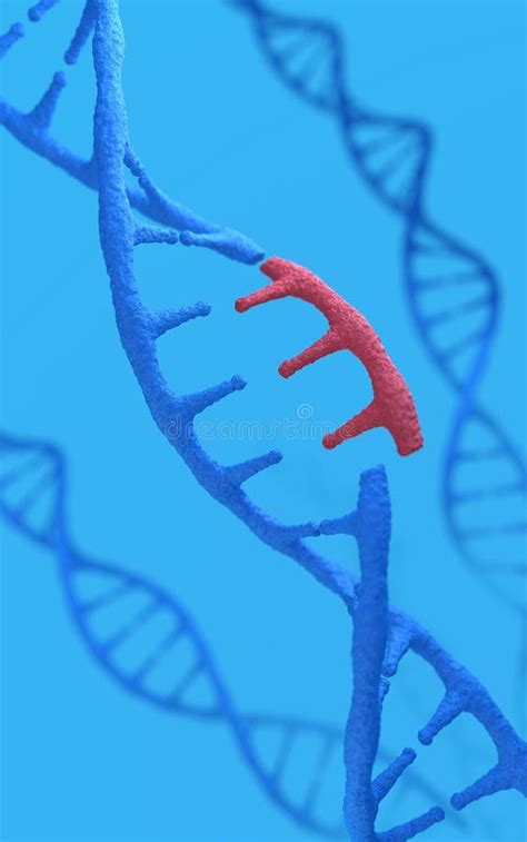 DNA Molecules Structure Of The Genetic Code 3d Rendering Conceptual