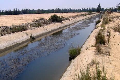 Irrigation