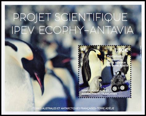 ANTARTIDA FRANCESA T A A F 2022 PINGUINOS CIENCIA YV F 1001