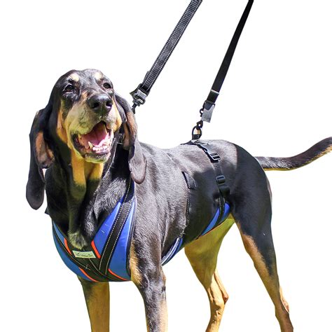 Walkin Pets Lift N Step Dog Harness For Full Body Support Blue