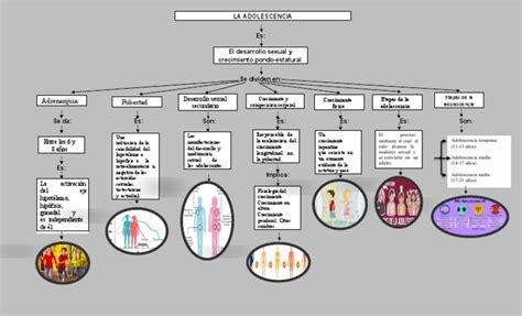 Mapa Conceptual De La Adolescencia 4 Descargar Gratis Pdf Pubertad