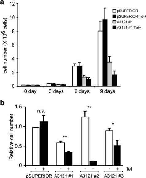 Knockdown Of Acinus Causes A Slow Growth Phenotype A Growth