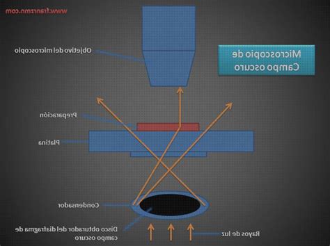 Top 19 Mejores MICROSCOPIOS óPTICOS RAYOS mes 2023 Opiniones