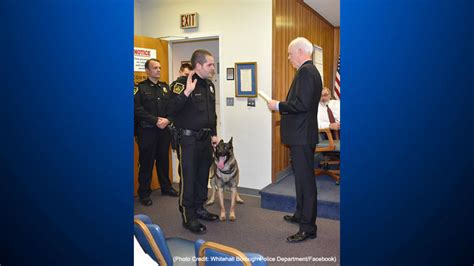 Whitehall Borough Police Swear In Newest K9 Team - CBS Pittsburgh