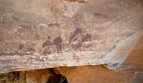 Drakensberg Rock Art - A bushman cultural experience - Antbear Lodge