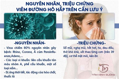 Viêm đường hô hấp trên là gì và cách điều trị dứt điểm từ chuyên gia