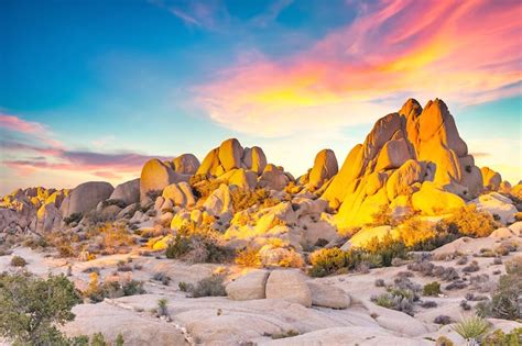 Joshua Tree National Park Vast Desert Terrain And Stargazing Spot In California Go Guides