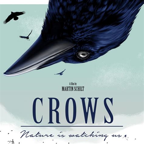 Nature Lovers Debate The Crows Group Name On Social Media - RYZE Superfoods