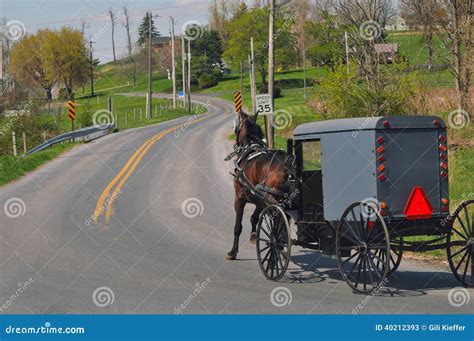 Amish Horse Buggy Stock Images - Download 802 Royalty Free Photos