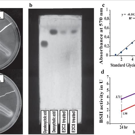 Bile Salt Hydrolase Activity Of Lactobacillus Plantarum E2c2 And E2c5