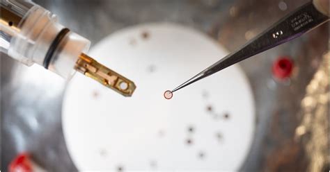 PolyU researchers make breakthrough discovery in structure and ...