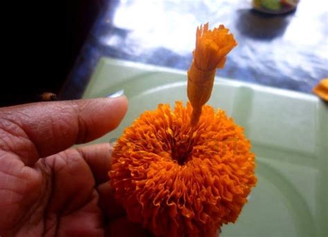 How To Make Marigold Flower With Crepe Paper Art And Craft Ideas