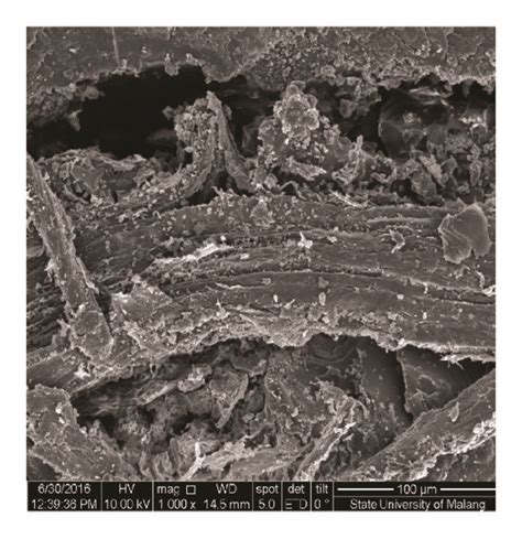 Scanning Electron Microscope Sem Images Of Surfaces Of The Samples