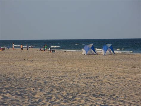 Assateague State Park Berlin Md Top Tips Before You Go With Photos Tripadvisor