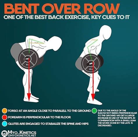 √ Bent Over Rows Correct Form