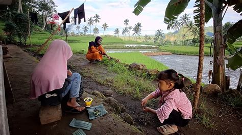 Kehidupan Pedesaan Indonesia Suasana Pagi Di Kampung Lereng Gunung