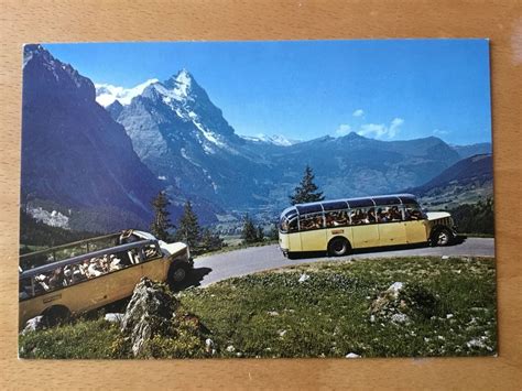 Ak Autobus Postauto Saurer Fbw Grindelwald Kaufen Auf Ricardo