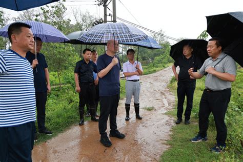 赵军伟深入防汛一线实地督导防汛工作 要闻 潢川新闻网 潢川县委县政府门户网站