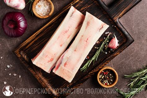Косточка мозговая говяжья купить в Москве
