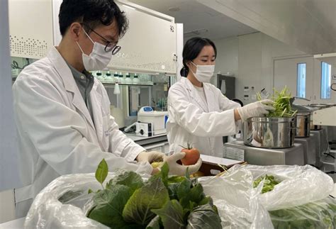 전남보건환경연구원 여름철 농산물 안전 관리 강화한다 파이낸셜뉴스