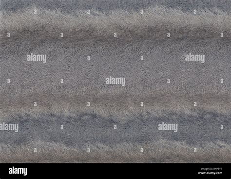 Abstract Fine Lined Pattern Stock Photo Alamy