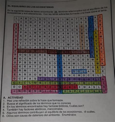 En La Siguiente Sopa De Letras Encontraras Los Cuatro Principales The