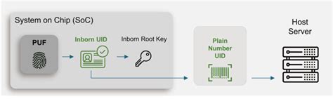 Uid Pufsecurity Puf Based Security Ip Solutions Secure The