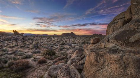 Top 999 Joshua Tree National Park Wallpaper Full Hd 4k Free To Use