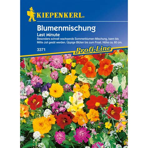 Kiepenkerl Blumenmischung Last Minute Kaufen Bei Obi