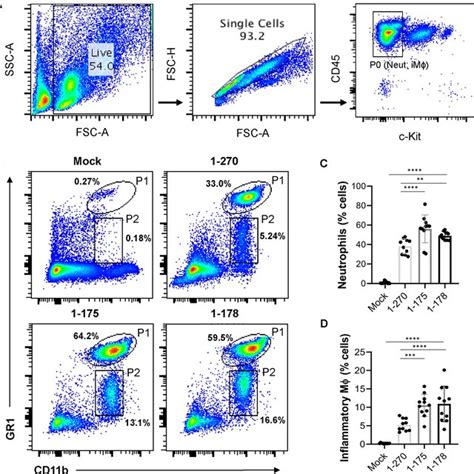 Flow Cytometry Gating Strategy And BALF Cytokines For Fig 5 D E A