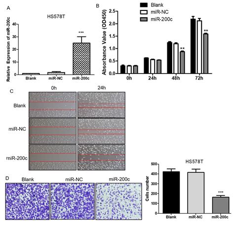 Microrna 200c Inhibits The Metastasis Of Triple Negative Breast Cancer