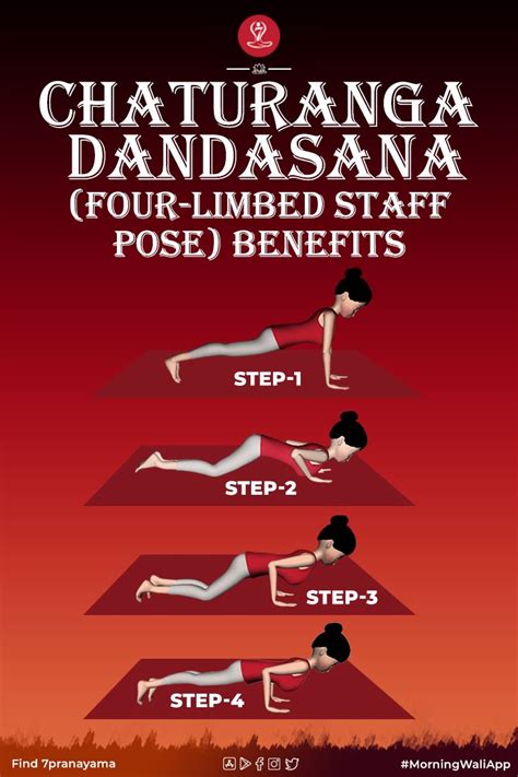 Chaturanga Dandasana Which Means Four Limbed Staff Pose Is Central