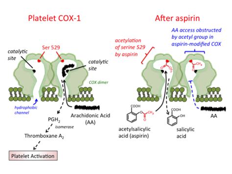 antiplatelet_drugs [TUSOM | Pharmwiki]