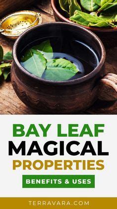 Learn More About The Magical Properties Health Benefits And Uses Of