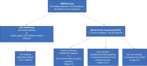 Frontiers Rare Variants And Hla Haplotypes Associated In Patients