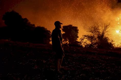 Yunani Membara Kebakaran Hutan Terburuk Dalam Setengah Abad Paksa