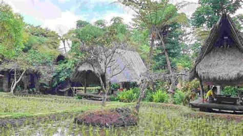 Rumah Makan Sunda Di Bandung Menawarkan Hidangan Lezat