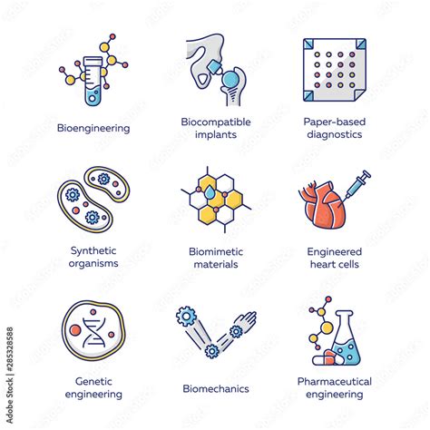 Bioengineering Color Icons Set Biotechnology For Health Evolutionary