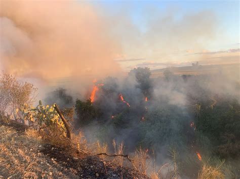 Incendi Brucia Il Foggiano Fiamme A Sant Agata Di Puglia E Chieuti