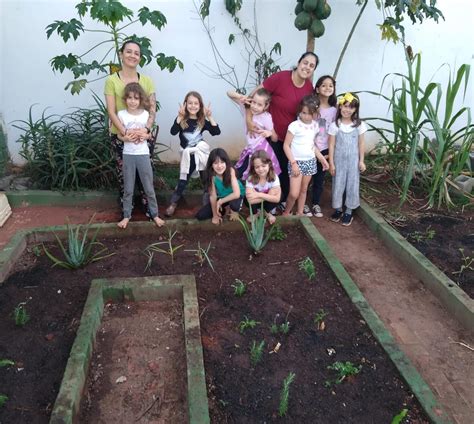 Jardim De Plantas Arom Ticas E Medicinais Uma Jornada Educativa Na