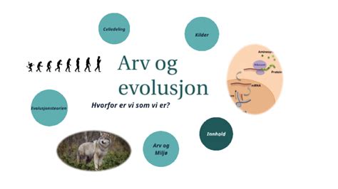 Arv Og Evolusjon By Hanna Haerum On Prezi