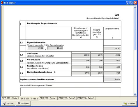 Formblatt 223 Beispiel Excel Ffb 221 Kostenlos Beste Formblatt 221