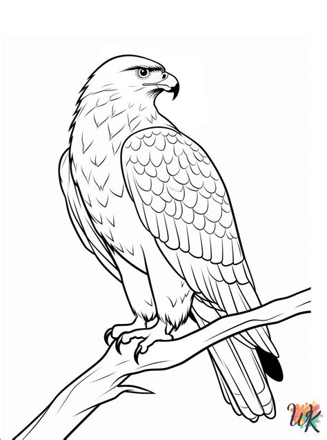 15 Hawk Coloring Pages